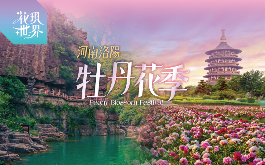 河南中原古都８日